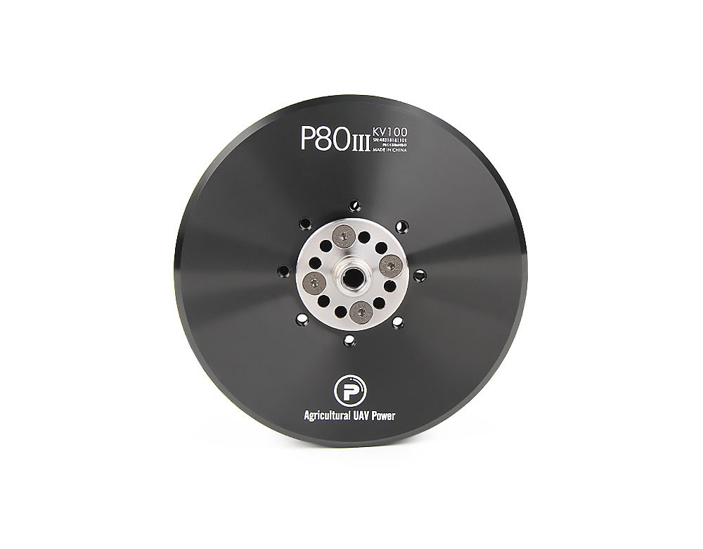 786 P 1548570153061 786 P 1548570153061